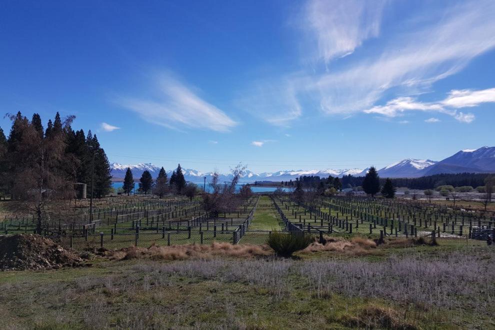 Willa Tekapo Retreat Lake Tekapo Zewnętrze zdjęcie